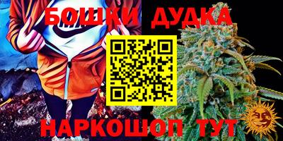 хмурый Будённовск
