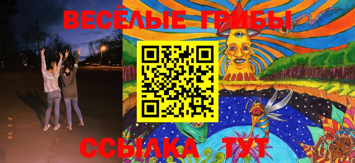 Галлюциногенные грибы Psilocybe  Вход с VPN  Печора 